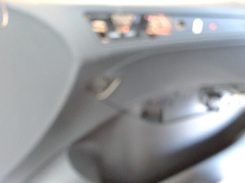 Right Front Door Panel (Black)