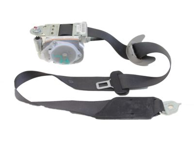 Belt & Retractor